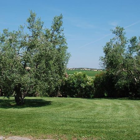 Agriturismo Le Coccinelle Magliano in Toscana Exterior photo