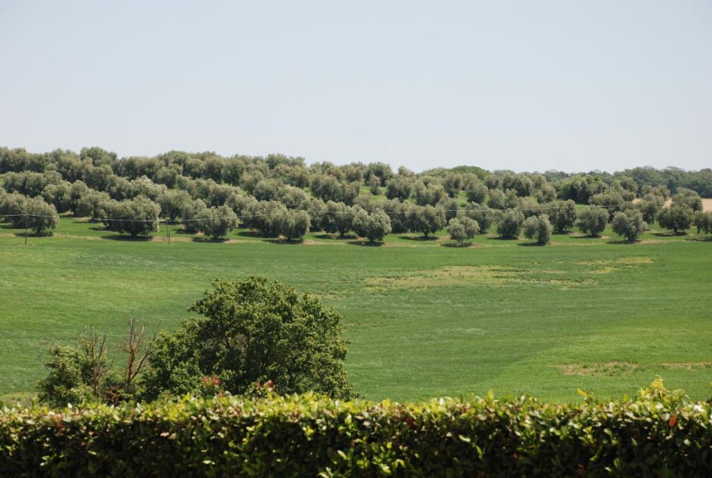 Agriturismo Le Coccinelle Magliano in Toscana Exterior photo