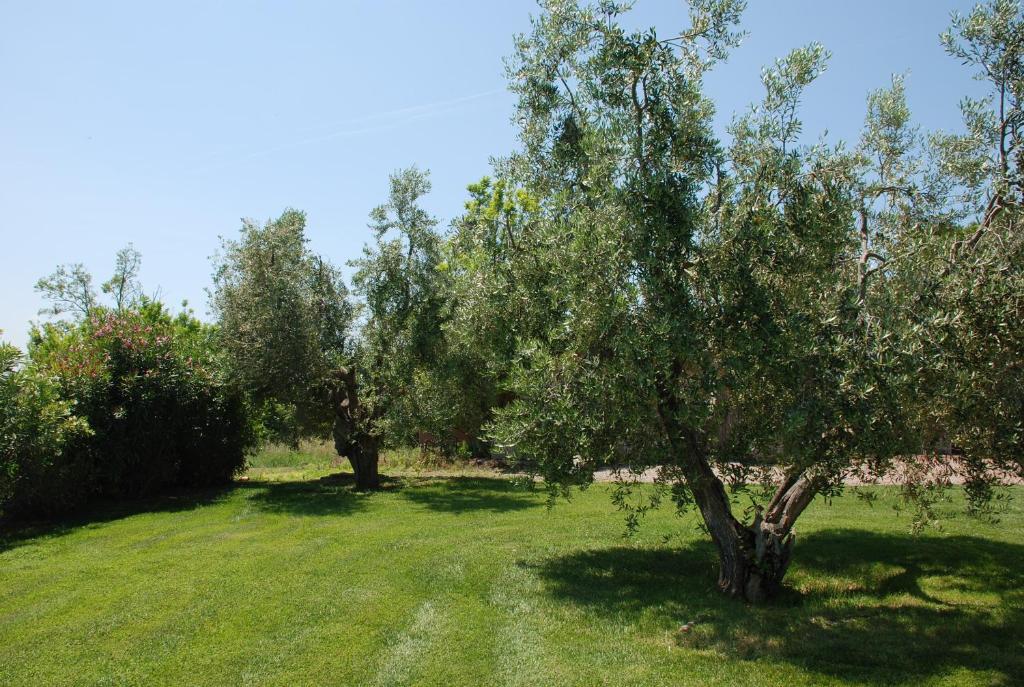 Agriturismo Le Coccinelle Magliano in Toscana Exterior photo