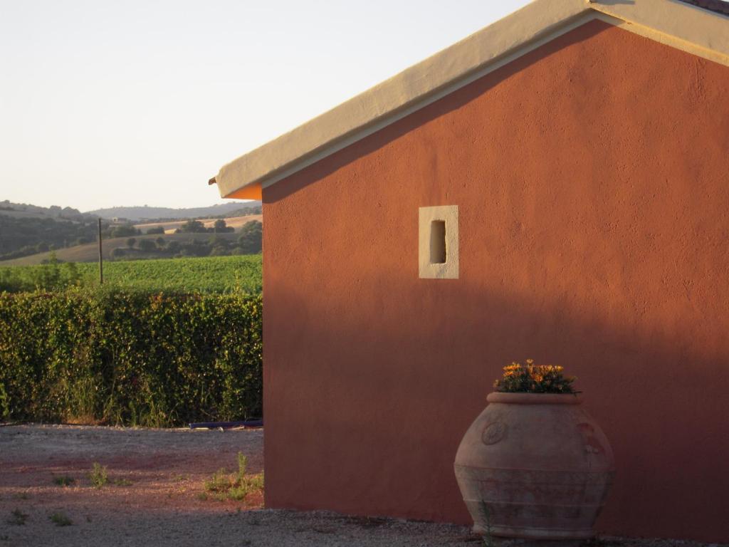 Agriturismo Le Coccinelle Magliano in Toscana Exterior photo