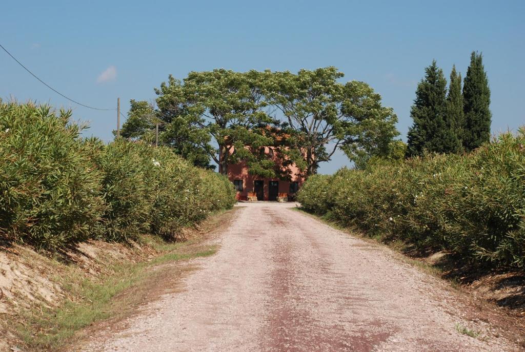 Agriturismo Le Coccinelle Magliano in Toscana Exterior photo