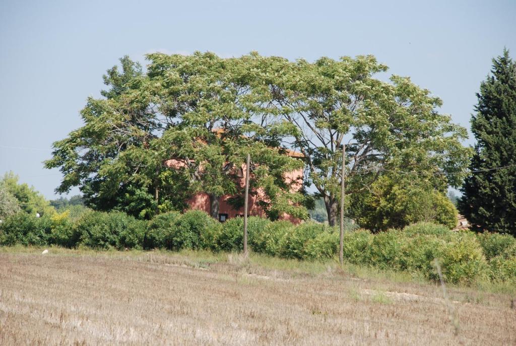 Agriturismo Le Coccinelle Magliano in Toscana Exterior photo