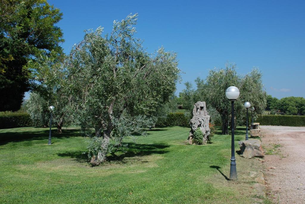 Agriturismo Le Coccinelle Magliano in Toscana Exterior photo