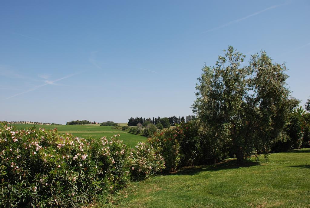 Agriturismo Le Coccinelle Magliano in Toscana Exterior photo