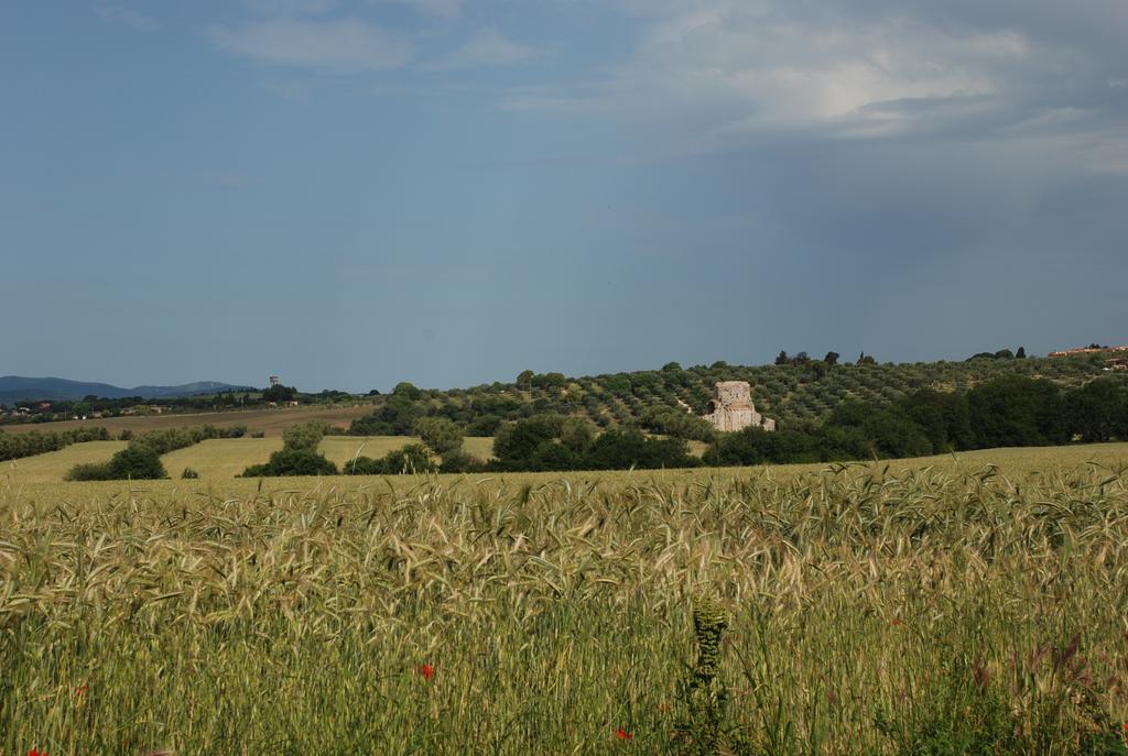 Agriturismo Le Coccinelle Magliano in Toscana Exterior photo